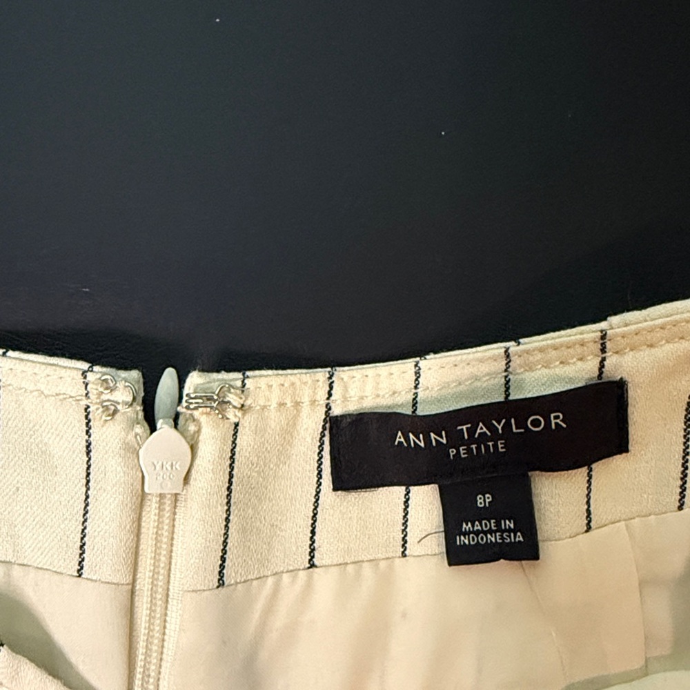 Ann Taylor Cream and Navy Striped A-Line Skirt - Picture 4 of 5